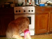 Игорь Горох фотография #45 (источник - https://vk.com/id6322143)