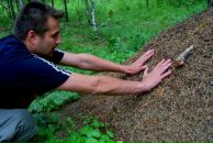 Фотография Северина Алексея