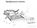 Діана Ставка фотография #11 (источник - https://vk.com/id166687039)