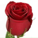 Ігорь Пурiче фотография #49 (источник - https://vk.com/id136793567)