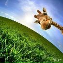 Фотография Липов Владимир