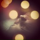 Дмтр Мксмв фотография #27 (источник - https://vk.com/id628801)