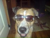 Фотография Тюменцевой Светланы