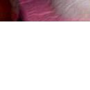 Марінка Баштан фотография #27 (источник - https://vk.com/id70088006)