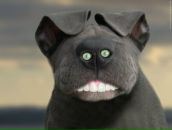 Фотография Бушуева Александра