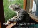 Тіна Кароль фотография #25 (источник - https://vk.com/id168345197)