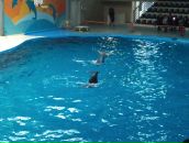 Murat Uzun фотография #25 (источник - https://vk.com/id1846906)