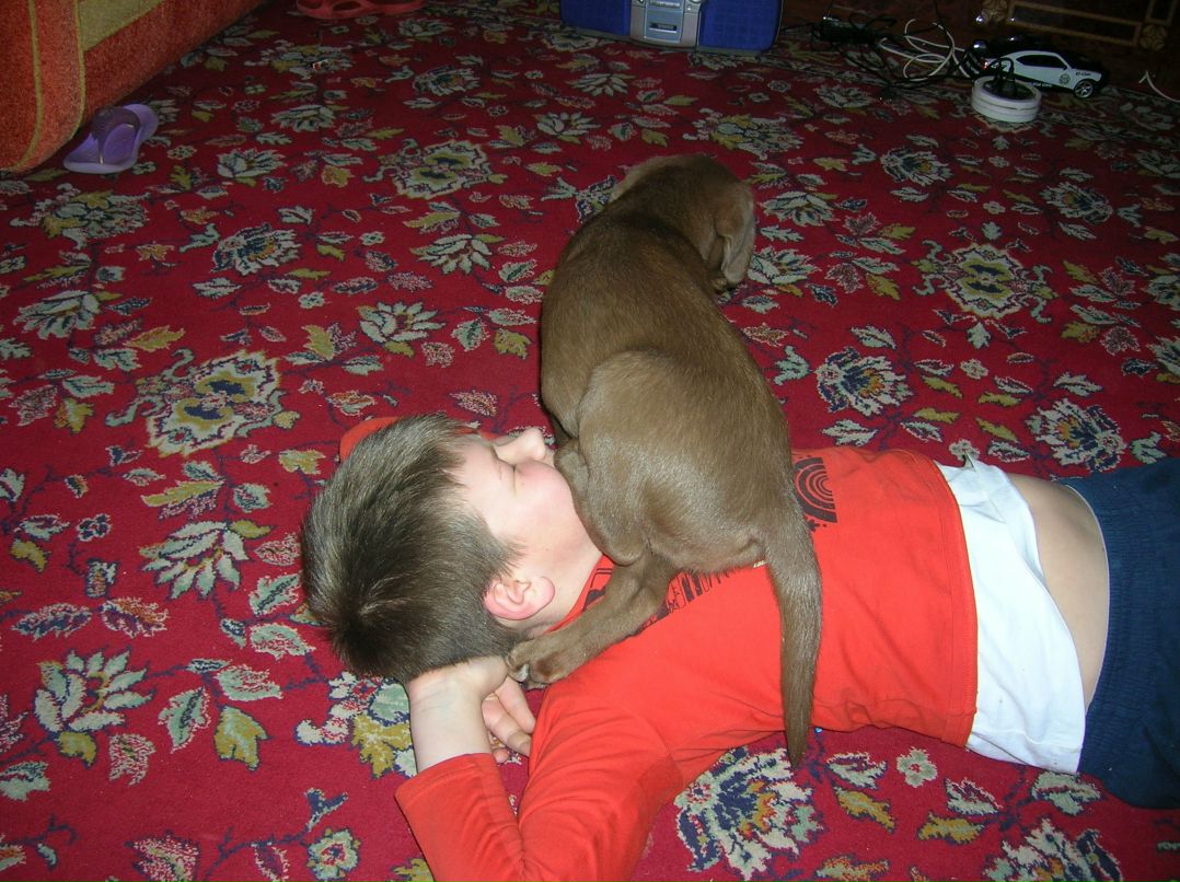 Виктор Тимофеев фотография #25