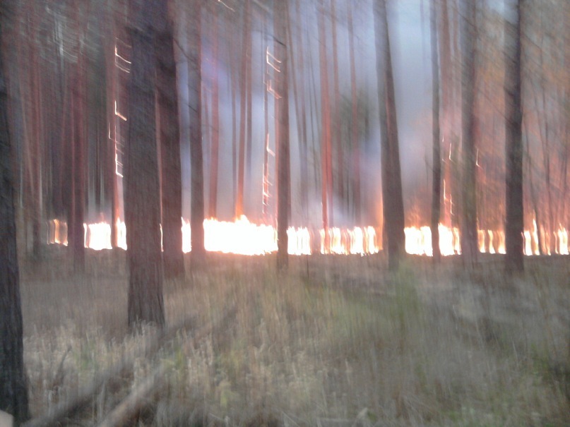 Дмитрий Васин фотография #43