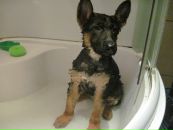 Льоня Кульбік фотография #1