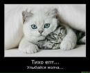 Григорій Кошелєв фотография #3 (источник - https://vk.com/id132396312)