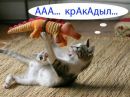 Фотография Прощалыкиной Олеси