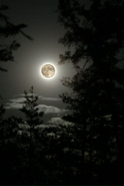 Moon New фото №3