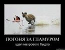 Ольга Вередін фотография #30 (источник - https://vk.com/id120300412)