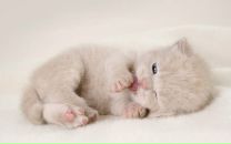 Вадім Бонгар фотография #9 (источник - https://vk.com/id72563271)