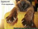 Фотография Амосов Алексей