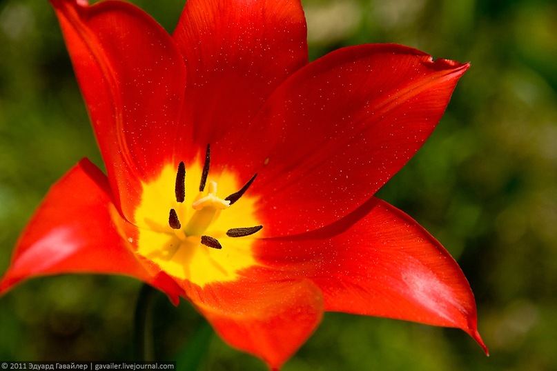 Ricky Ramirez фотография #23