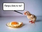 Геннадій Петрусенко фотография #48 (источник - https://vk.com/id28136923)