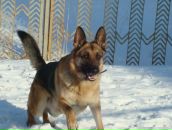 Фотография Киселева Максима