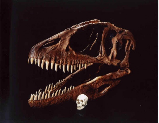 Fff Sdvxds фото №1