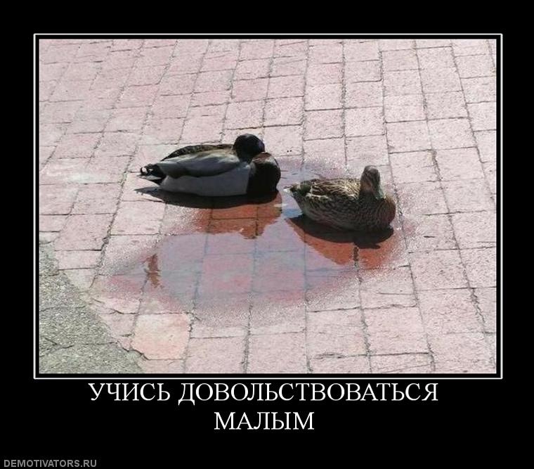 Вадим Диваков фотография #9