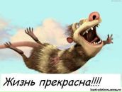 Фотография Пискуновой Катюши