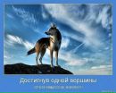 Ірина Шевченко фотография #43 (источник - https://vk.com/id17011710)