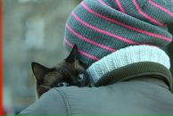 Фотография Гильфанова Артура