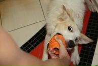 Фотография Витты Евгении