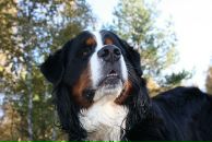 Фотография Побуцкой Анны