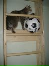 Дашка Модова фотография #42 (источник - https://vk.com/id2251602)