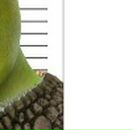 Андрій Сеньків фотография #40 (источник - https://vk.com/id125592035)