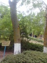Вікуся Шах фотография #49 (источник - https://vk.com/id151260709)