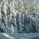 Коля Луців фотография #10 (источник - https://vk.com/id66166396)