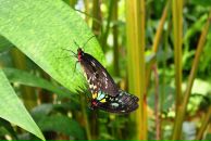 Дмитрий Венгерцев фотография #17 (источник - https://vk.com/id181221)