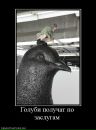Ігор Слабоус фотография #36 (источник - https://vk.com/id20169653)