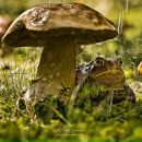 Фотография Попов Евгений