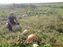 Брейлик Андрій фотография #36 (источник - https://vk.com/id123025910)