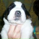 Фотография Яковлевой Полины