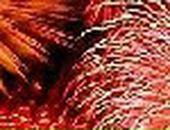 Игорь Литвиненко фотография #13 (источник - https://vk.com/id71344049)