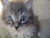 Фотография Калинин Дмитрий