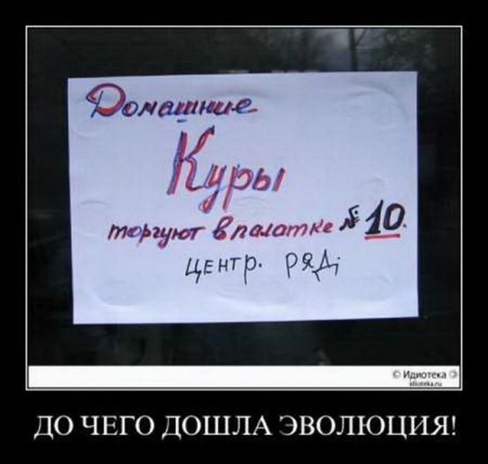 Дмитрий Антоненко фотография #20