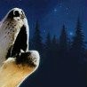Євгенко Берегуляк фотография #25 (источник - https://vk.com/id135281191)