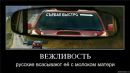 Фотография Шемеш Раисы