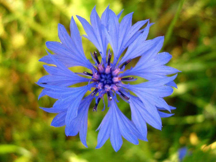 Игорь Васильков фотография #44