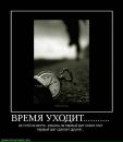 Юрій Бідненко фотография #48 (источник - https://vk.com/id151010759)