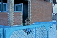 Тим Райтер фотография #29 (источник - https://vk.com/id773753)