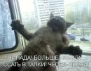 Ваня Марусій фотография #50 (источник - https://vk.com/id68927780)