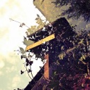 Фотография Сорока Натали