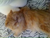 Фотография Ефремовой Екатерины